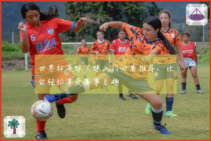 世界杯滚球买球入门必看推荐，让你轻松享受赛事乐趣