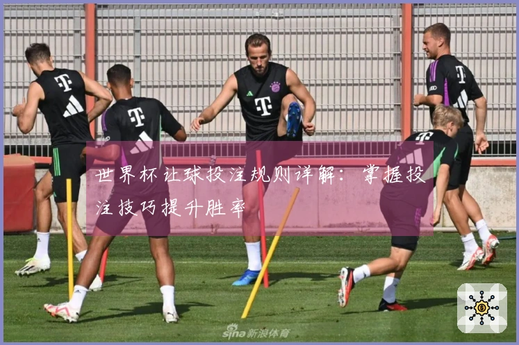 世界杯让球投注规则详解：掌握投注技巧提升胜率