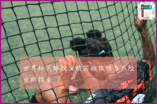 世界杯买球投注的实战技巧与风险分析指南