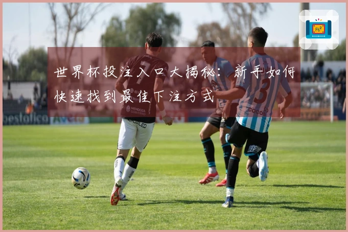 世界杯投注入口大揭秘：新手如何快速找到最佳下注方式
