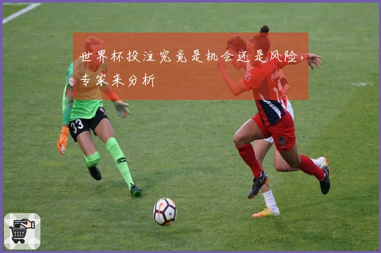 世界杯投注究竟是机会还是风险，专家来分析