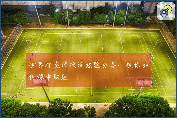 世界杯竞猜投注经验分享，教你如何稳中取胜