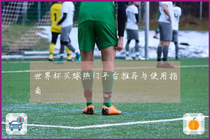 世界杯买球热门平台推荐与使用指南