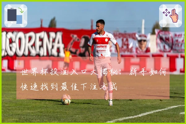 世界杯投注入口大揭秘：新手如何快速找到最佳下注方式