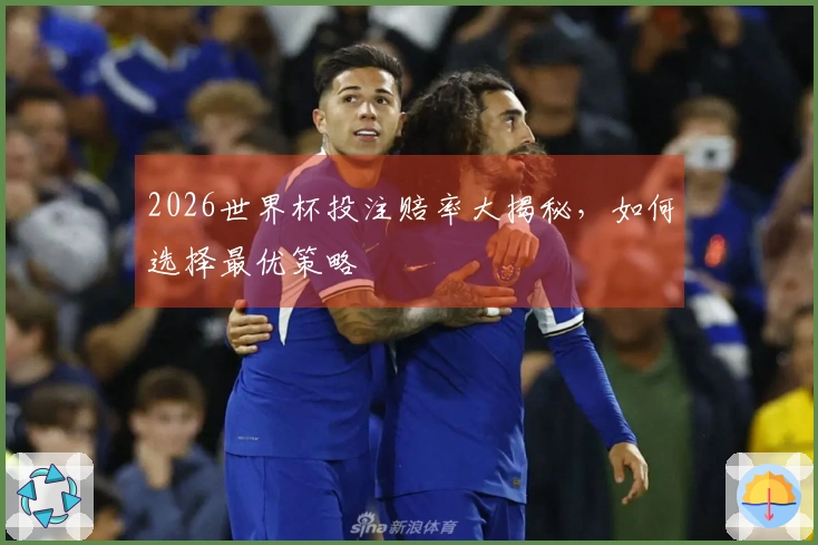 2026世界杯投注赔率大揭秘，如何选择最优策略